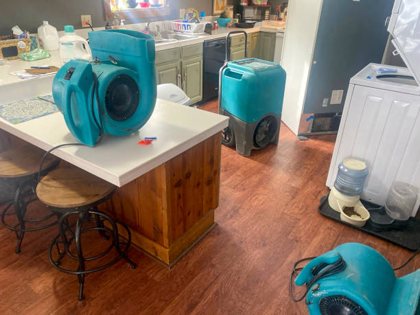 Best Professional water damage repair  in Cairo, NE