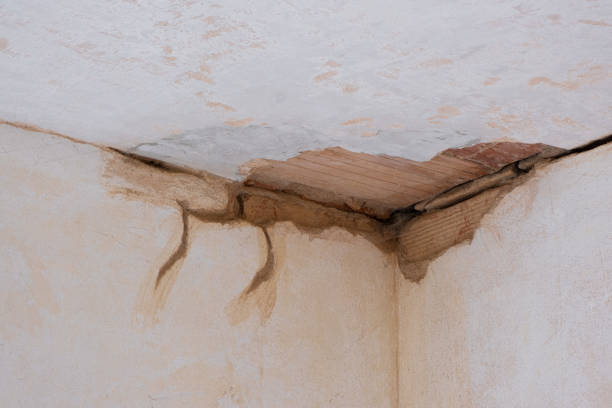 Best Flooded house restoration  in Cairo, NE